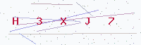 رمز التحقق